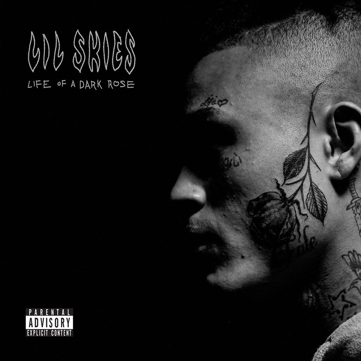 Lil Skies – Life of a Dark Rose vinyl record cover