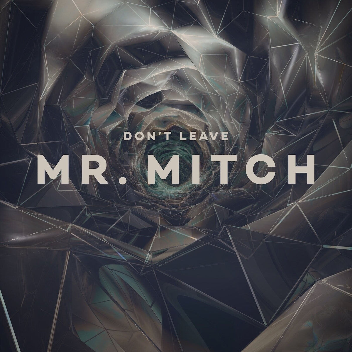 Mr. Mitch – Don't Leave EP vinyl cover
