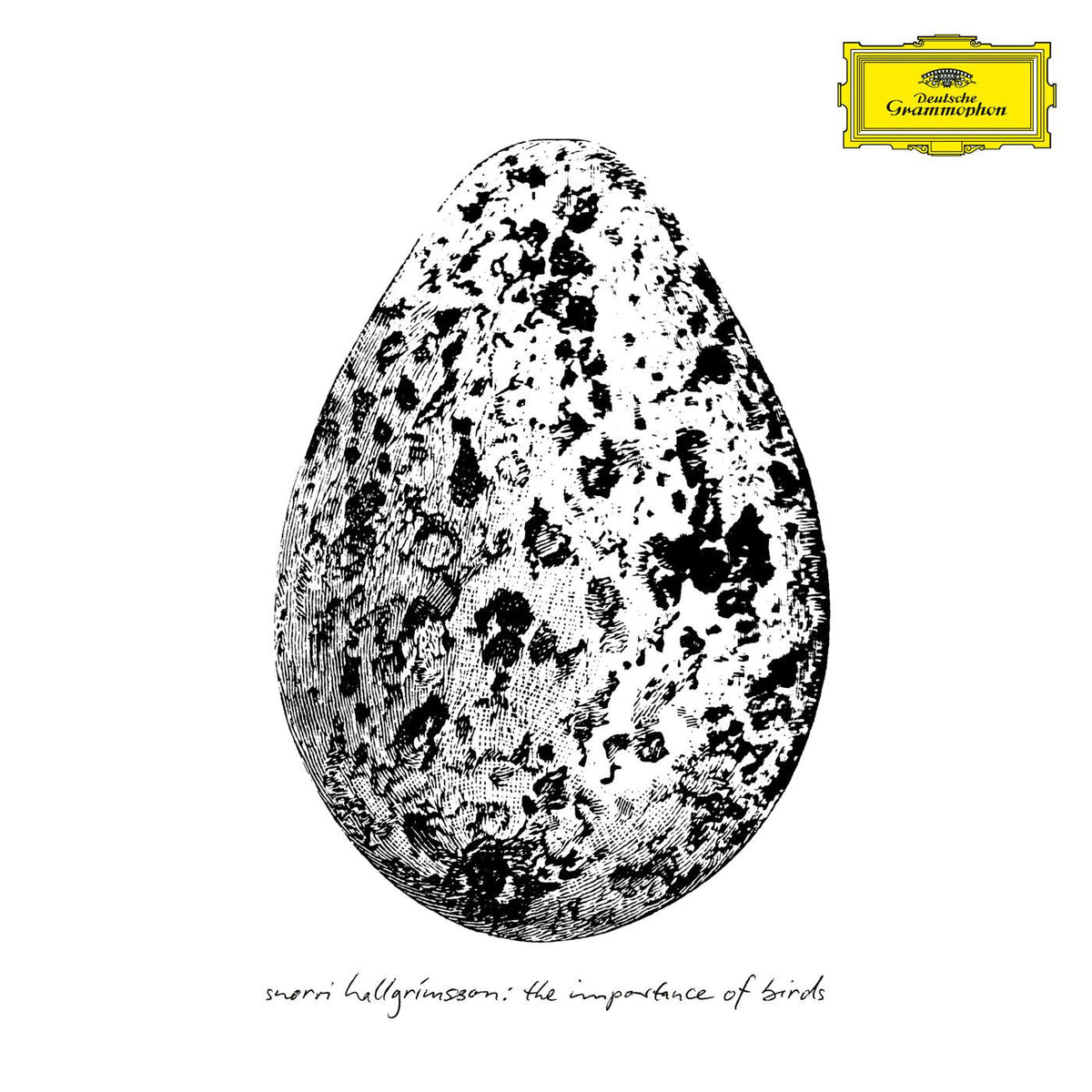 Snorri Hallgrímsson – The Importance of Birds vinyl cover