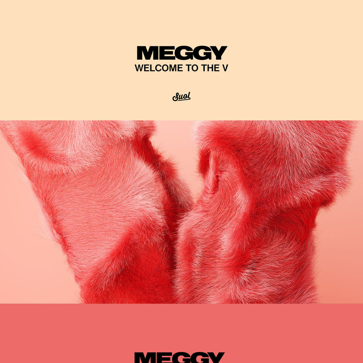 Meggy – Welcome to the V vinyl record cover