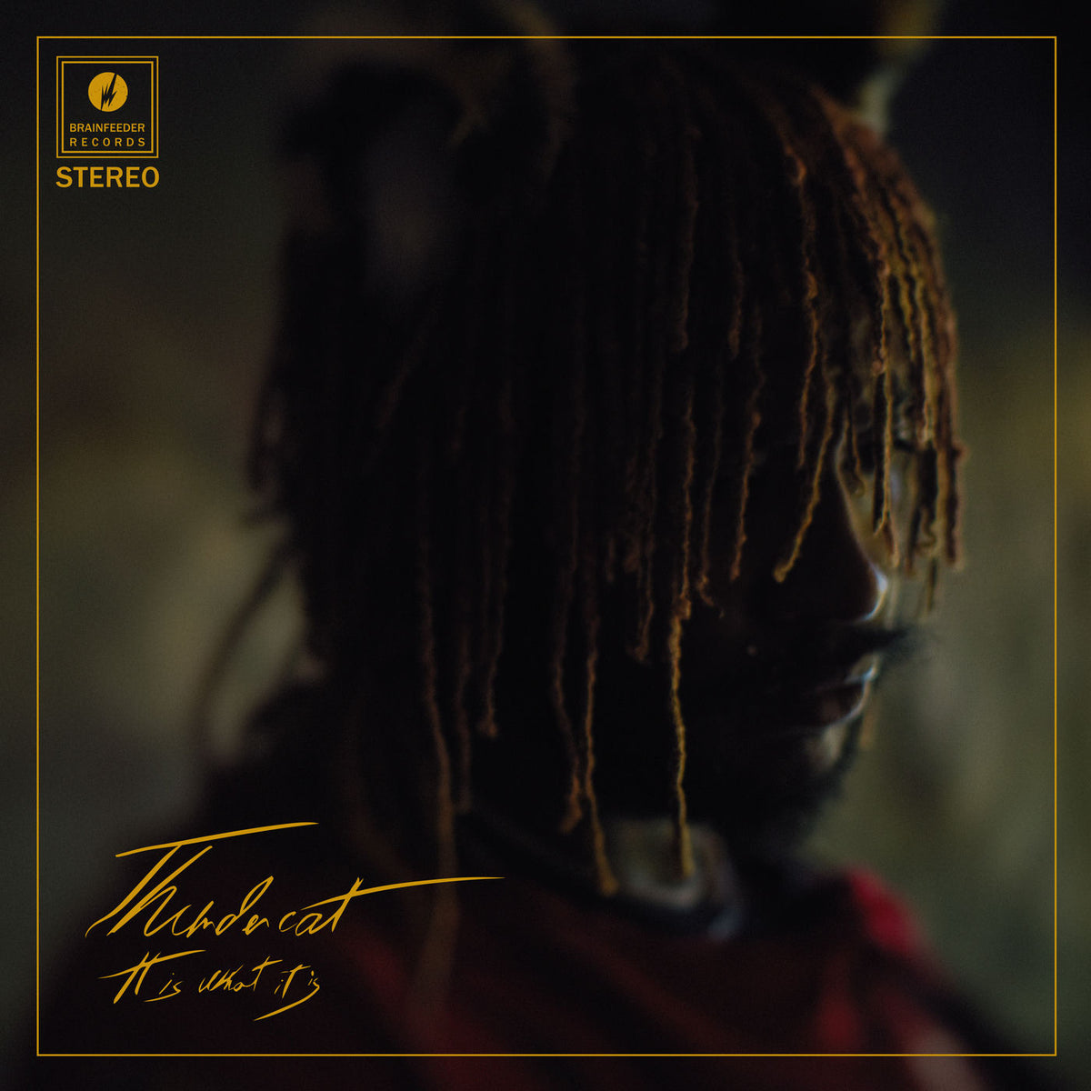 Thundercat – Fair Chance vinyl cover
