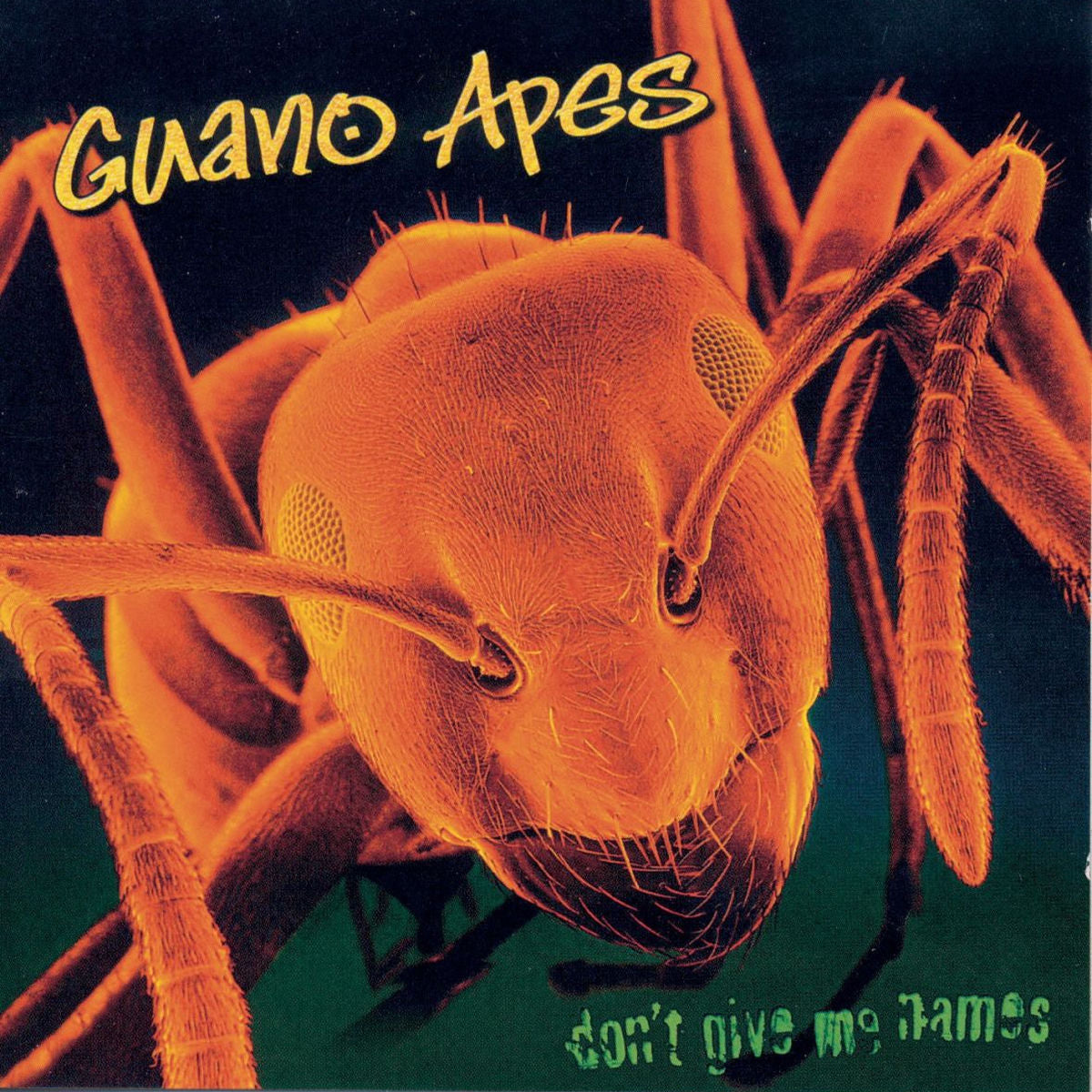Guano Apes – Don'T Give Me Names vinyl record cover