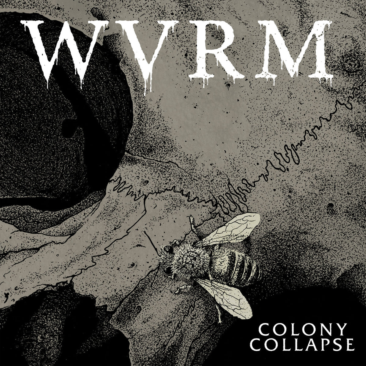 Wvrm – Colony Collapse vinyl cover