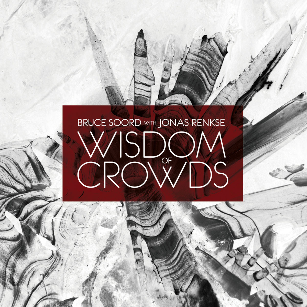 Bruce Soord – Wisdom of Crowds vinyl cover