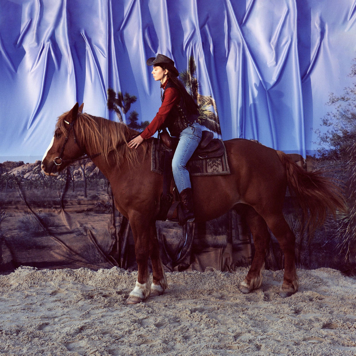 Holy Motors – Horse vinyl record cover