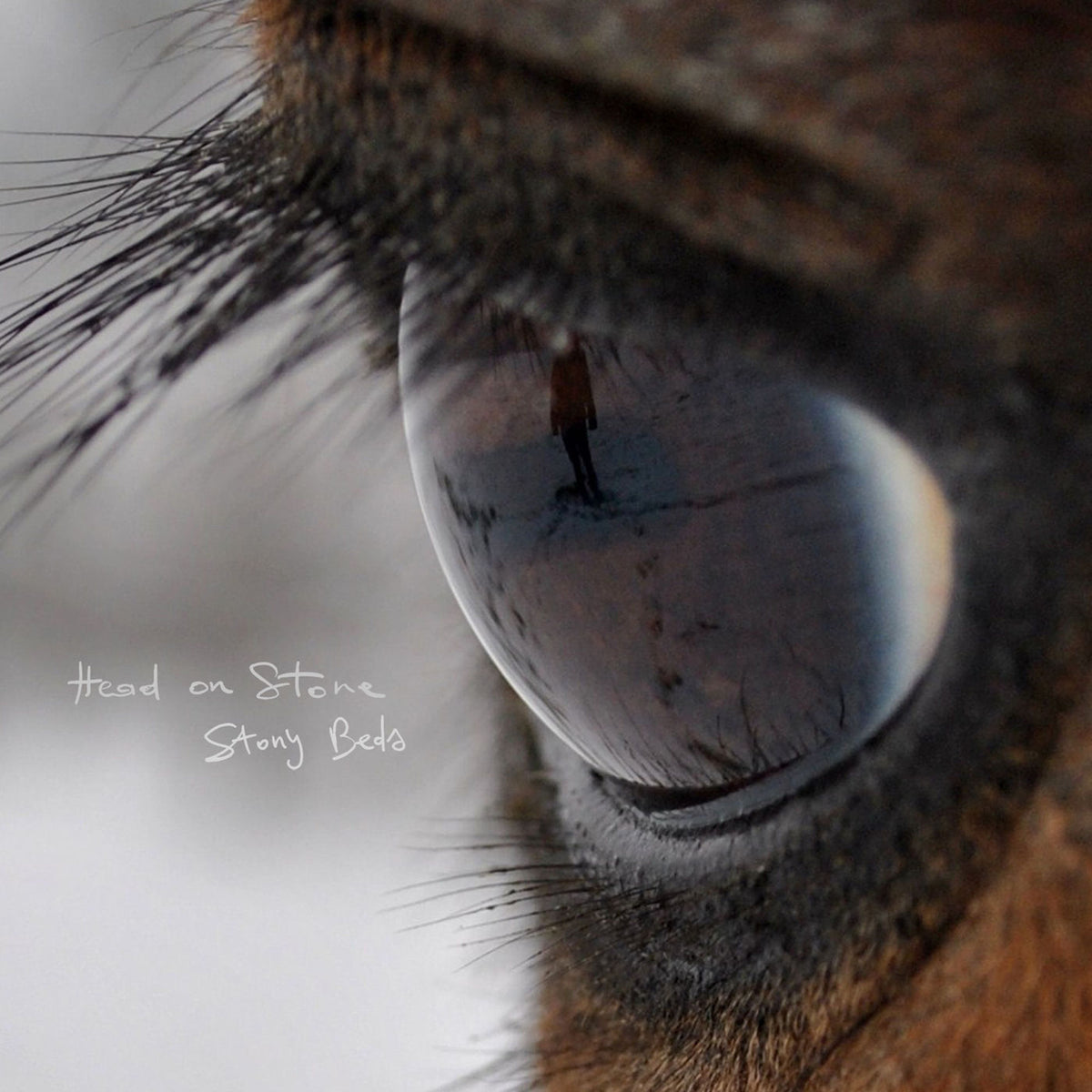 Head On Stone – Stony Beds vinyl record cover