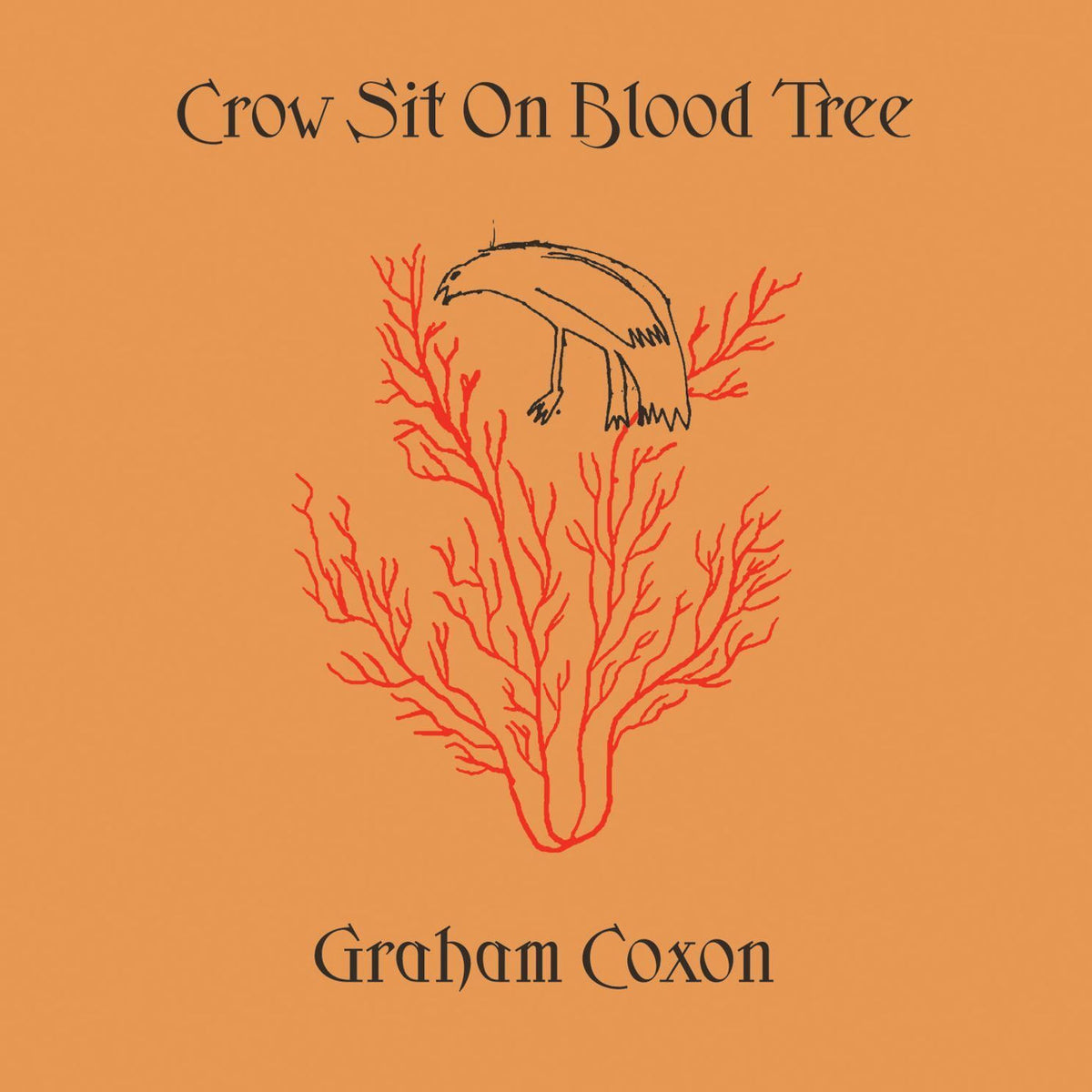 Graham Coxon – Crow Sit On Blood Tree vinyl record cover