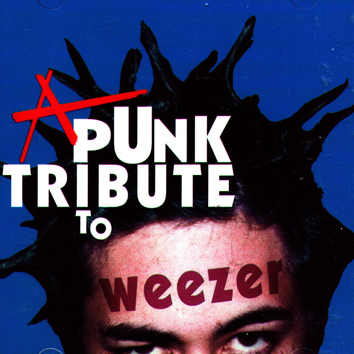 Various Artists – Punk Tribute To Weezer vinyl record cover