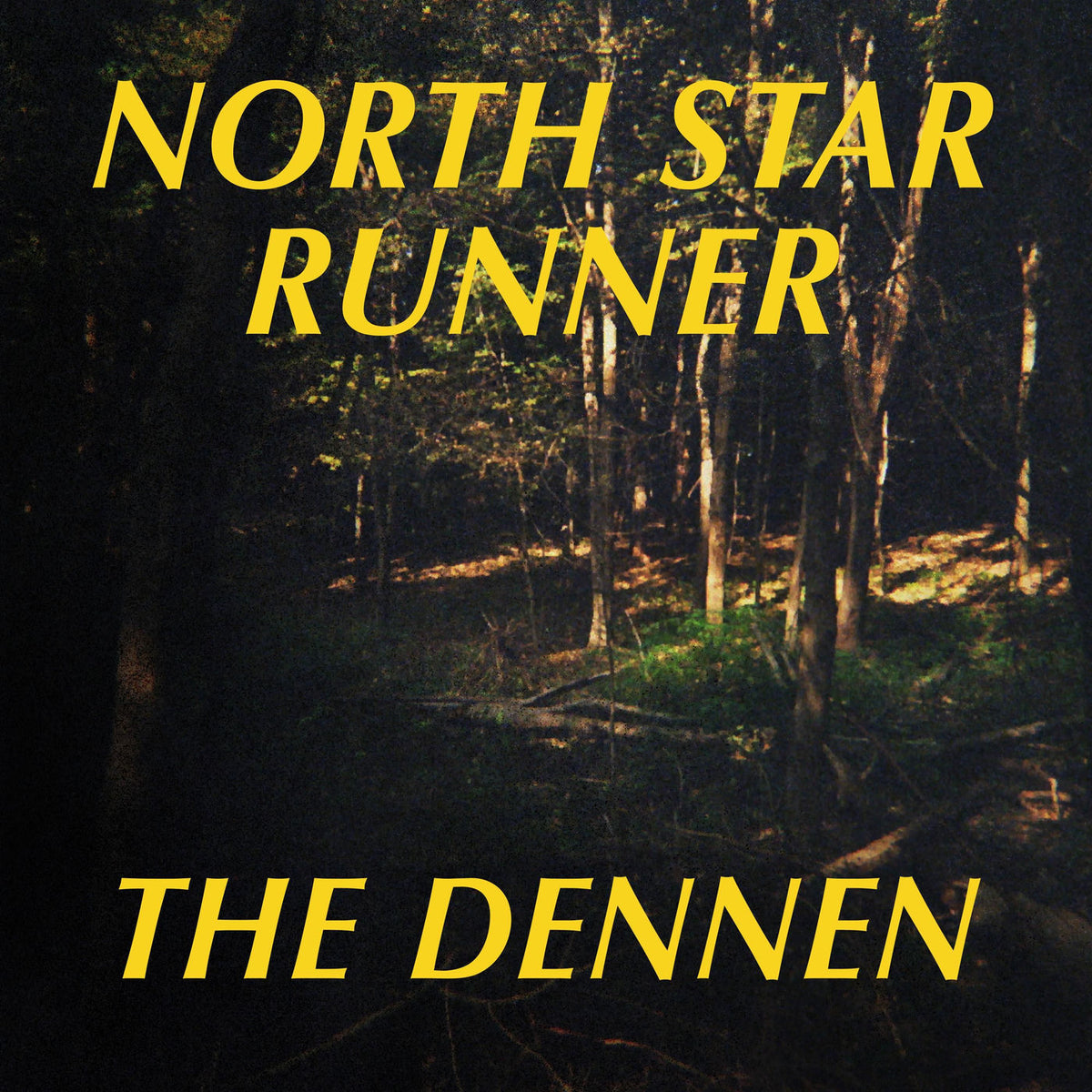 North Star Runner – Dennen vinyl record cover