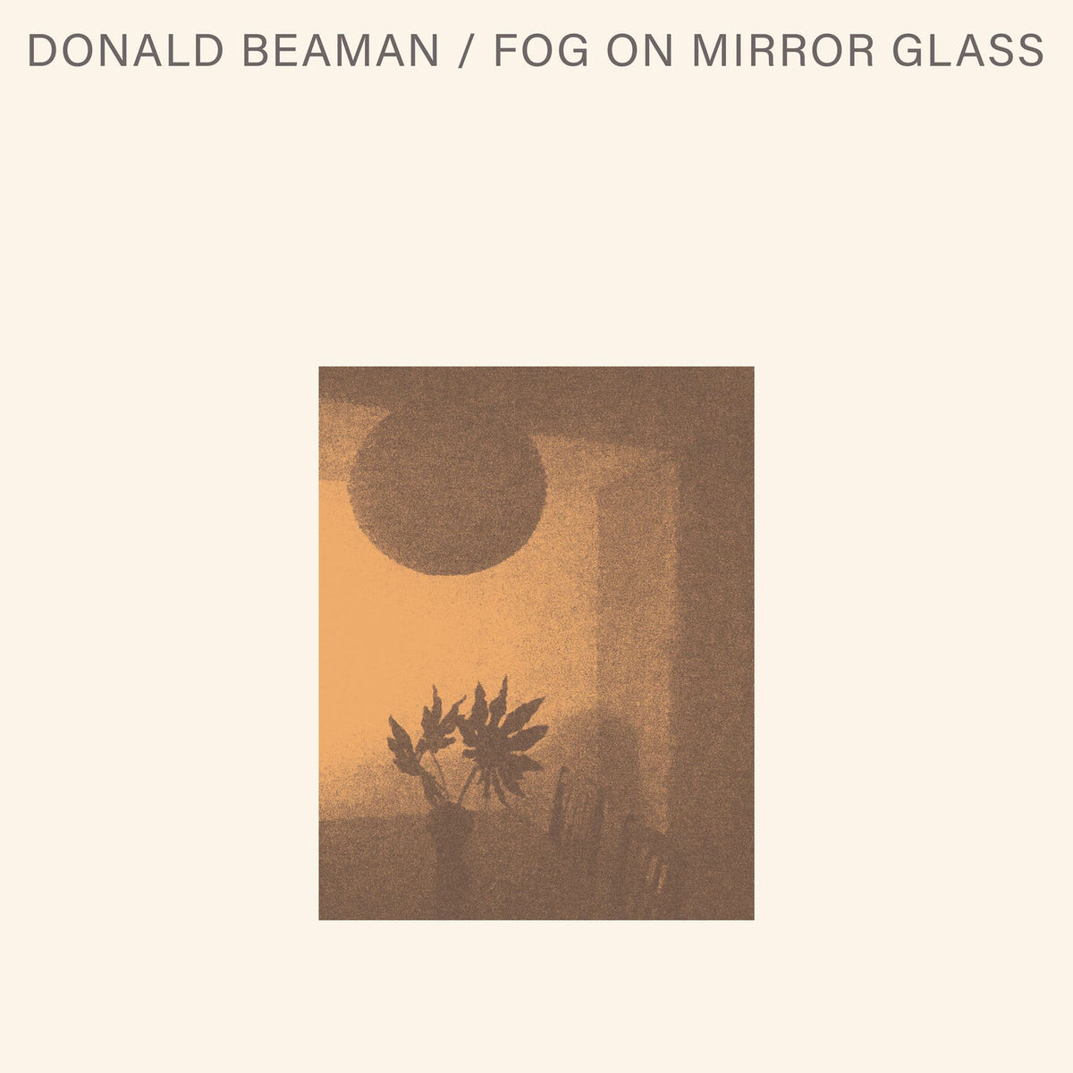 Donald Beaman – Fog On Mirror Glass vinyl cover