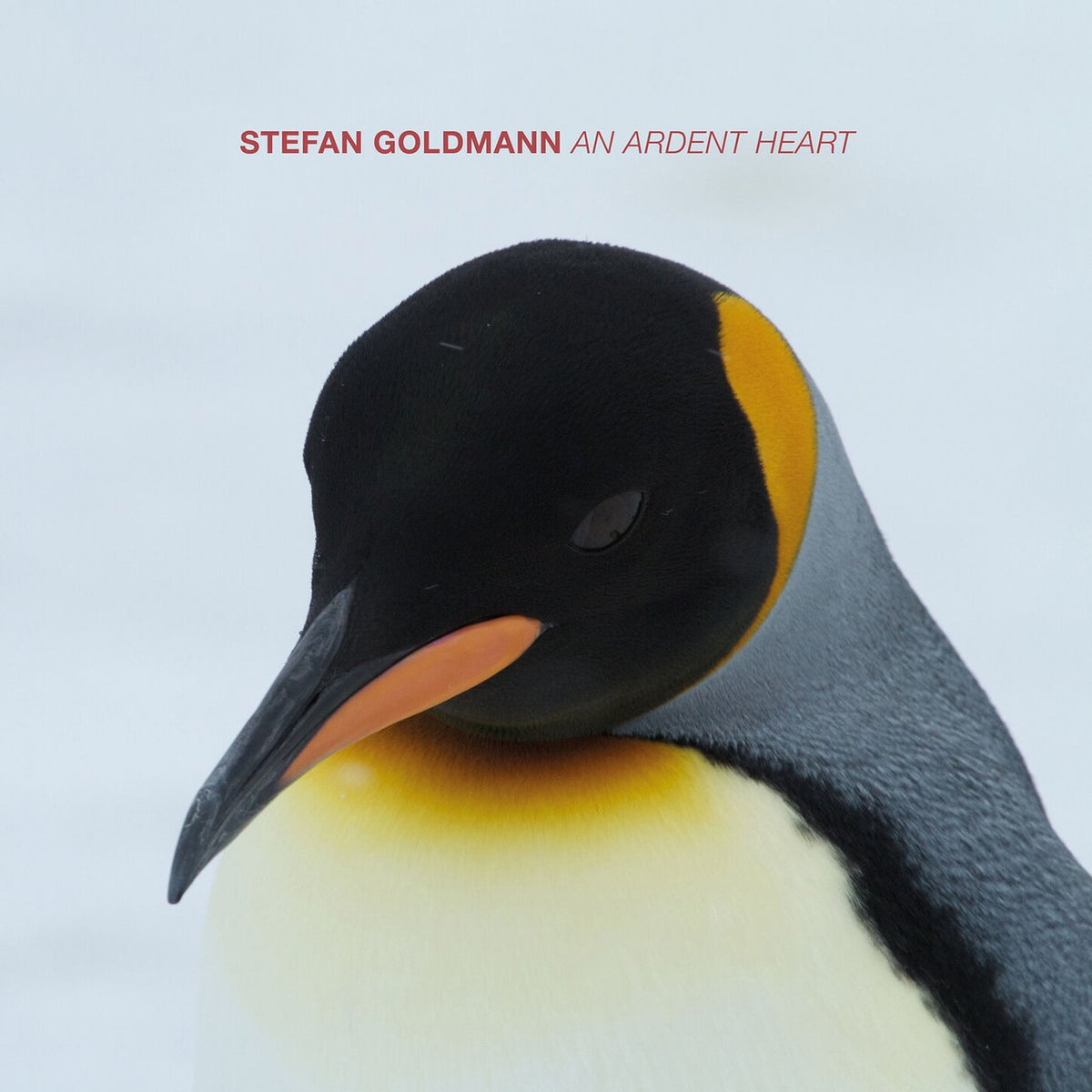 Stefan Goldmann – An Ardent Heart vinyl cover