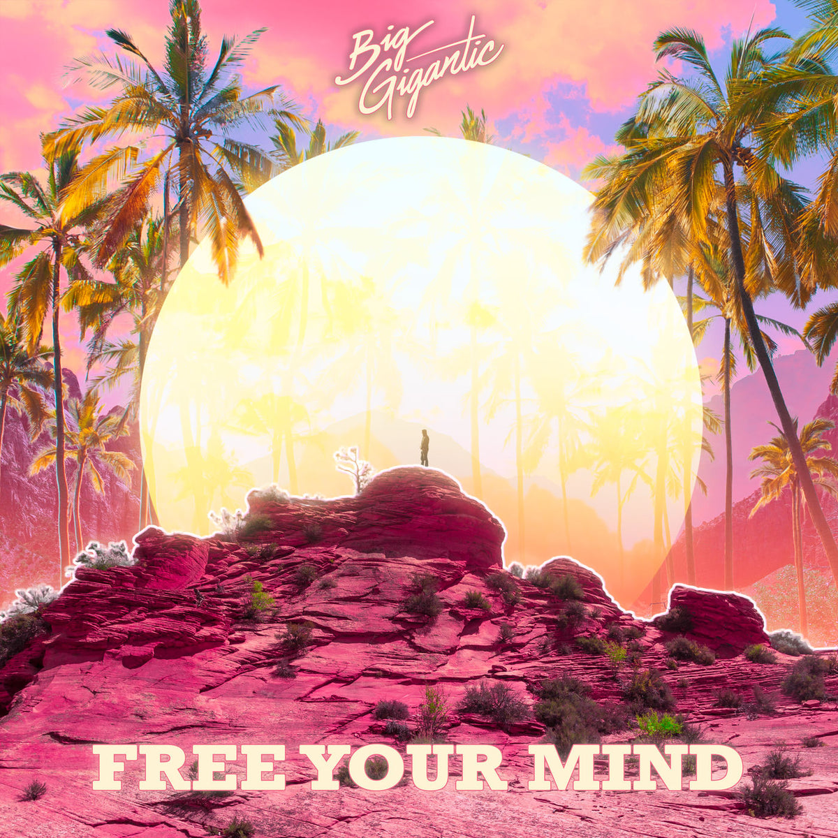 Big Gigantic – Free Your Mind vinyl record cover