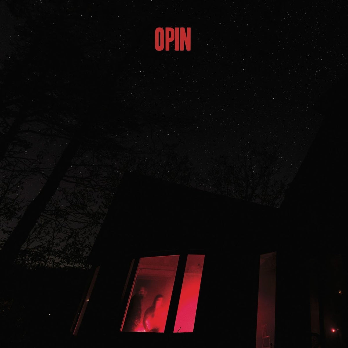 Opin – Opin vinyl cover