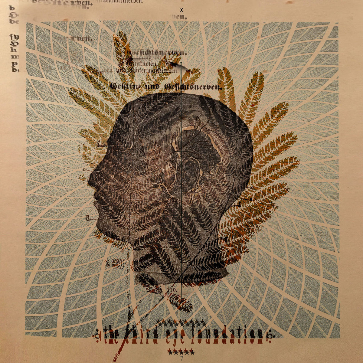 Third Eye Foundation – Wake The Dead vinyl record cover