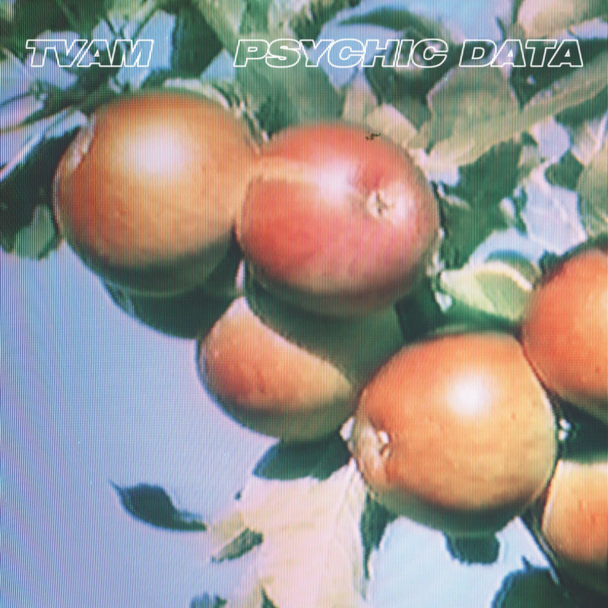 TVAM – Psychic Data vinyl record cover
