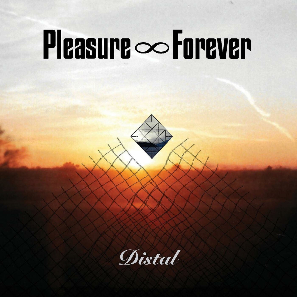 Pleasure Forever – Distal vinyl cover