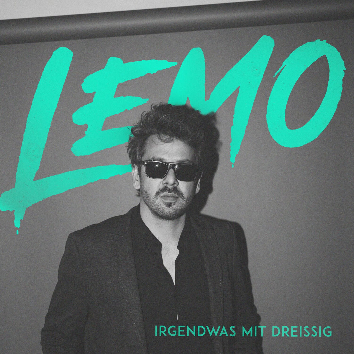 LEMO – Irgendwas Mit Dreissig vinyl record cover