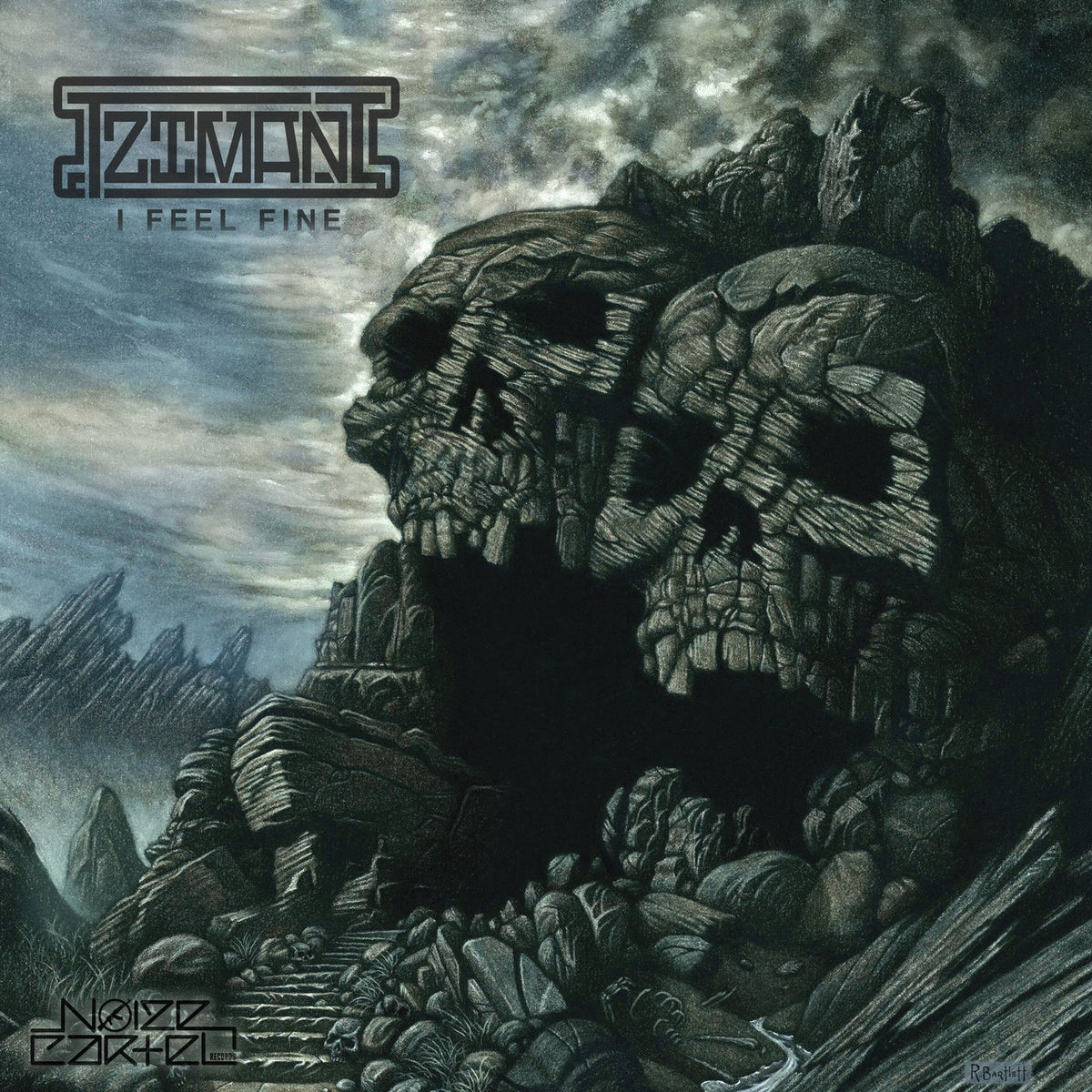 Tzimani – Feel Fine vinyl record cover