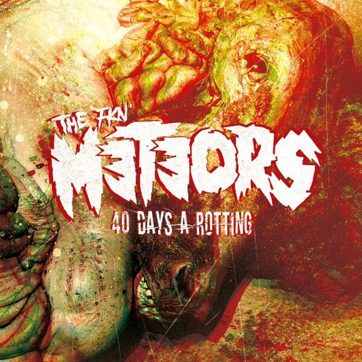 The Meteors – 40 Days a Rotting vinyl record cover