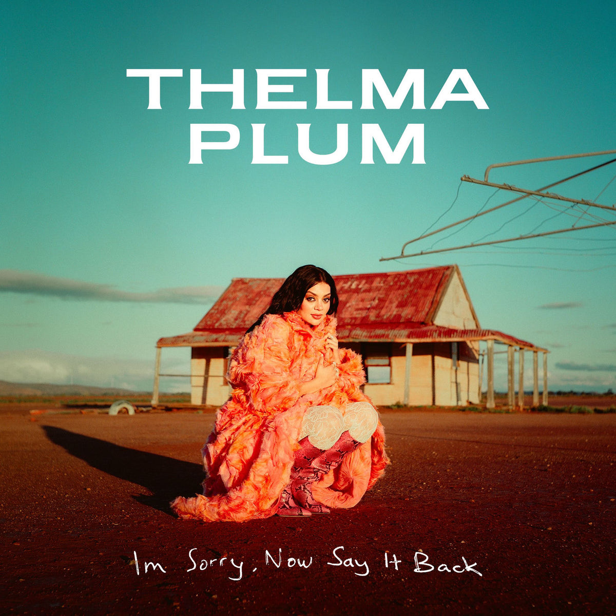 Plum, Thelma – I'M Sorry, Now Say It Back — album cover