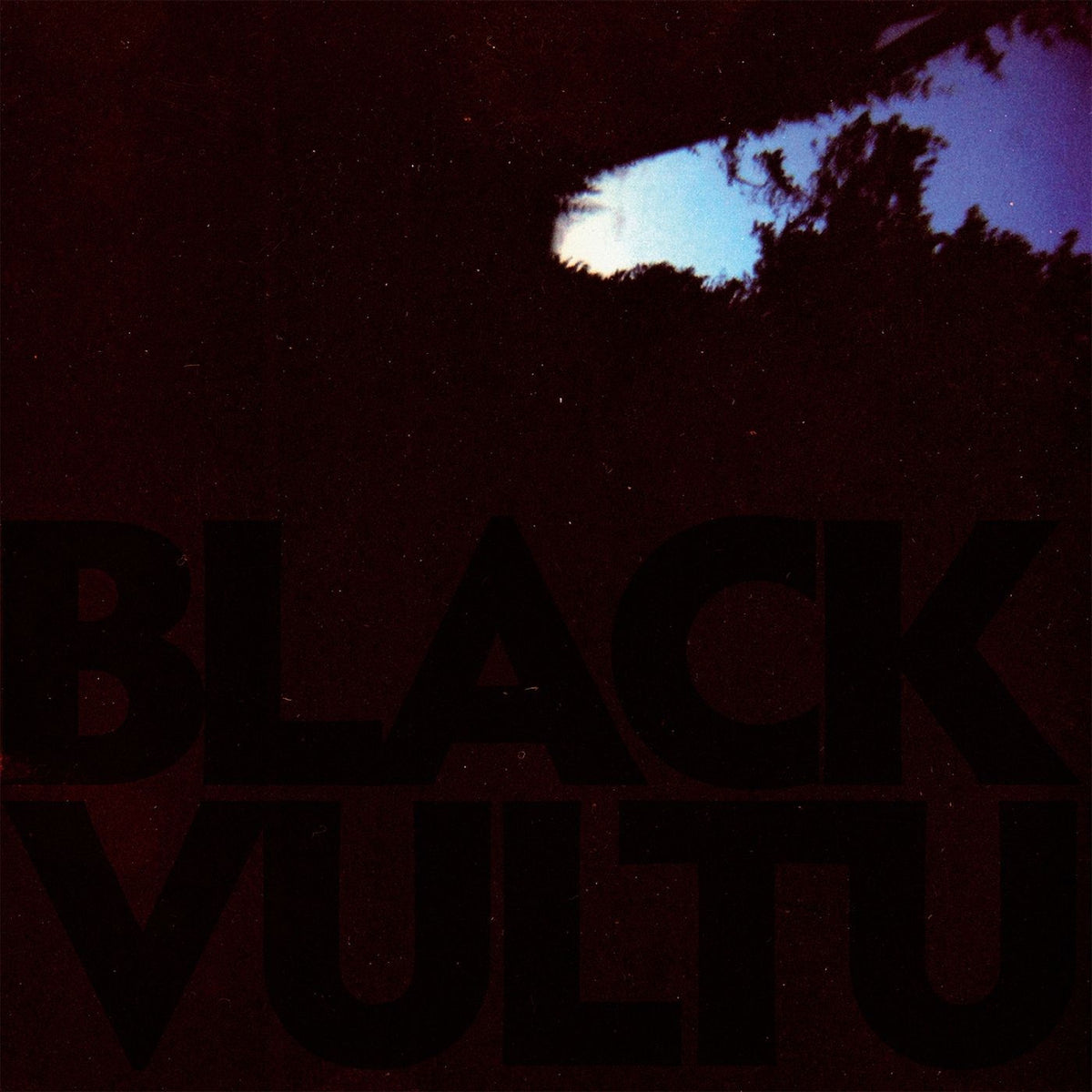 Daniel Norgren – Black Vultures vinyl cover