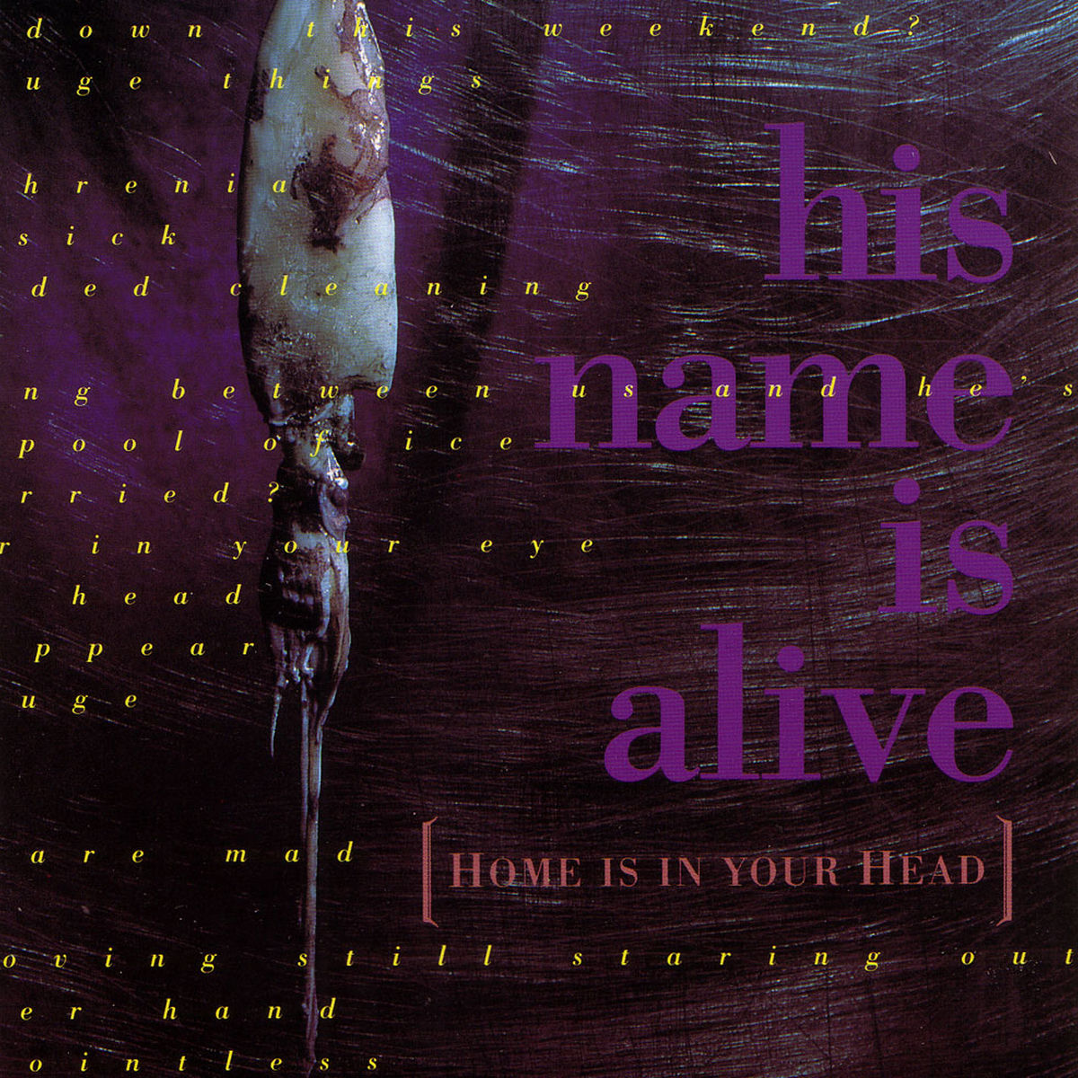 His Name Is Alive – Home Is In Your Head (2024 Remastered Edition) vinyl record cover