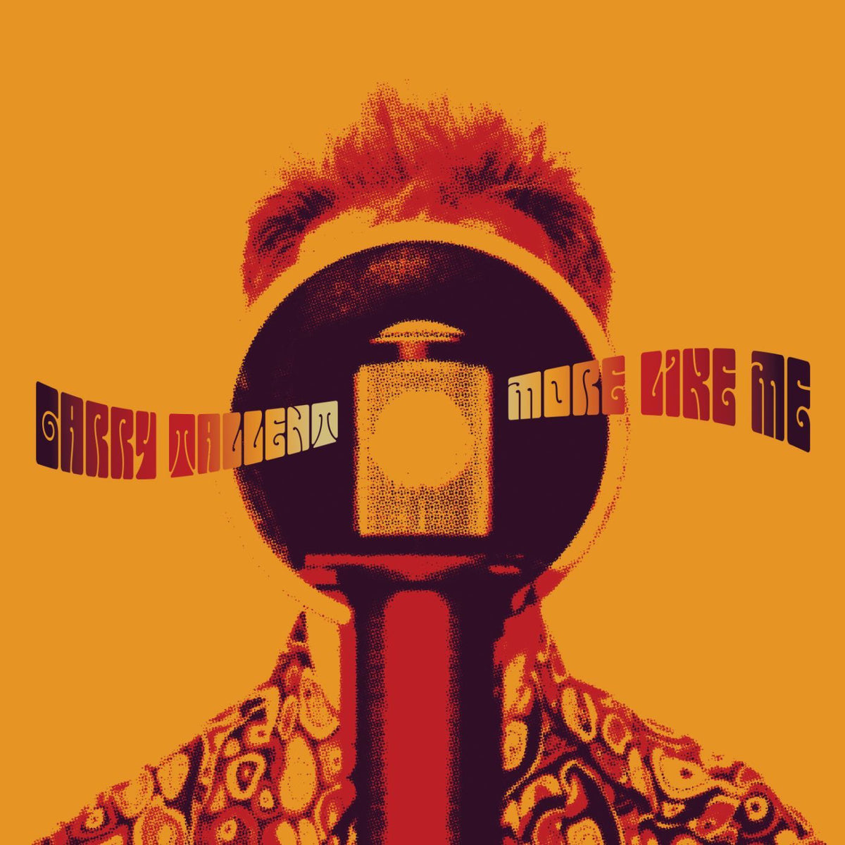 Garry Tallent – More Like Me vinyl cover