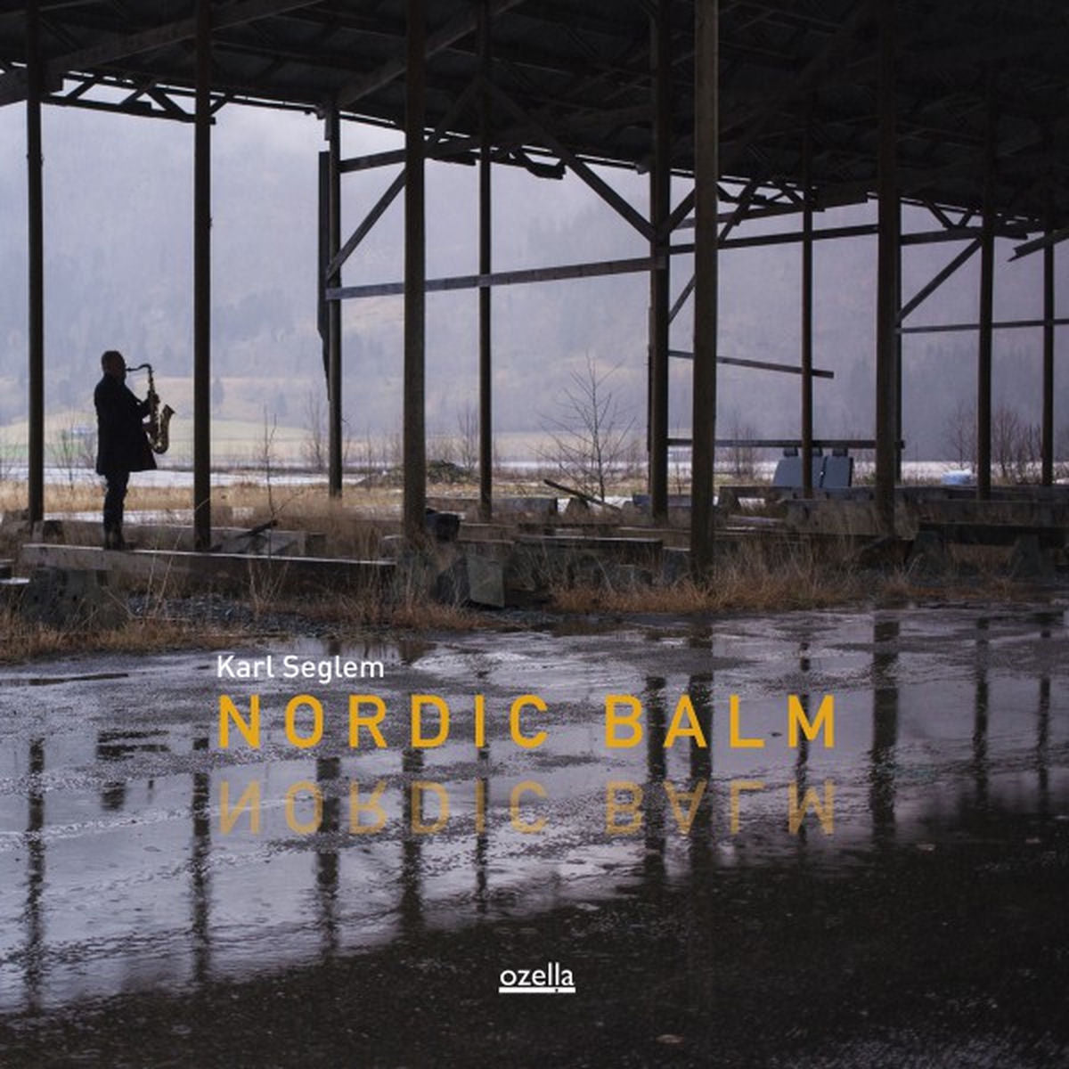 Karl Seglem – Nordic Balm vinyl record cover