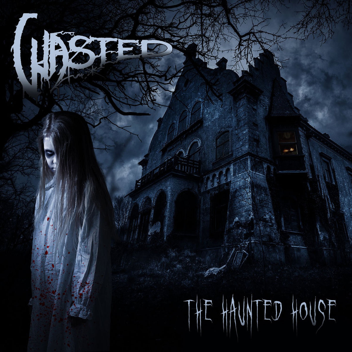 Wasted – The Haunted House vinyl record cover