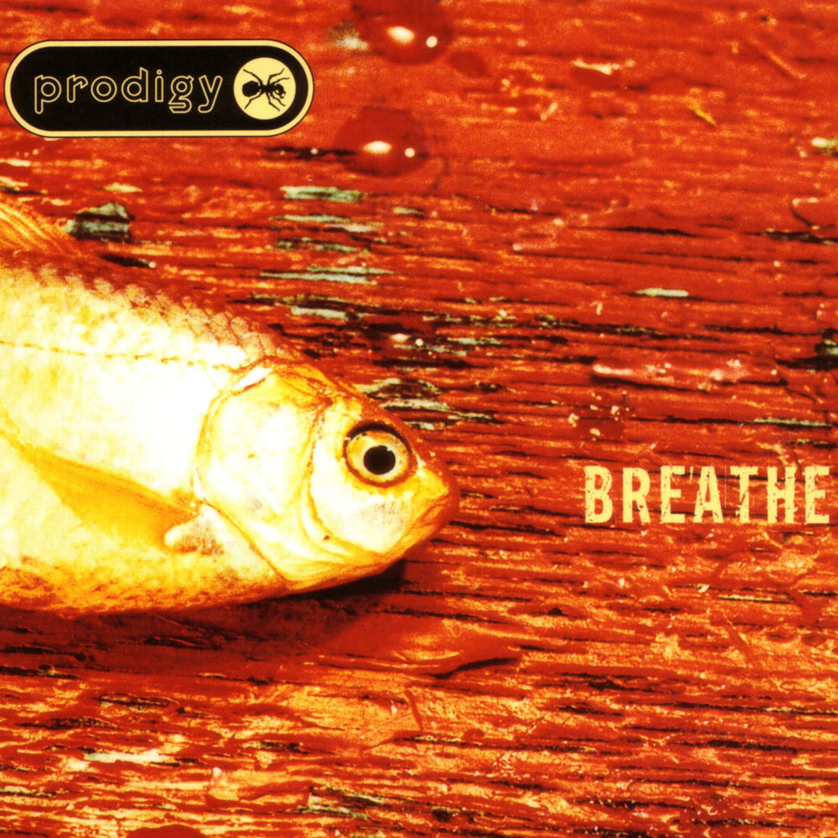 The Prodigy – Breathe vinyl cover