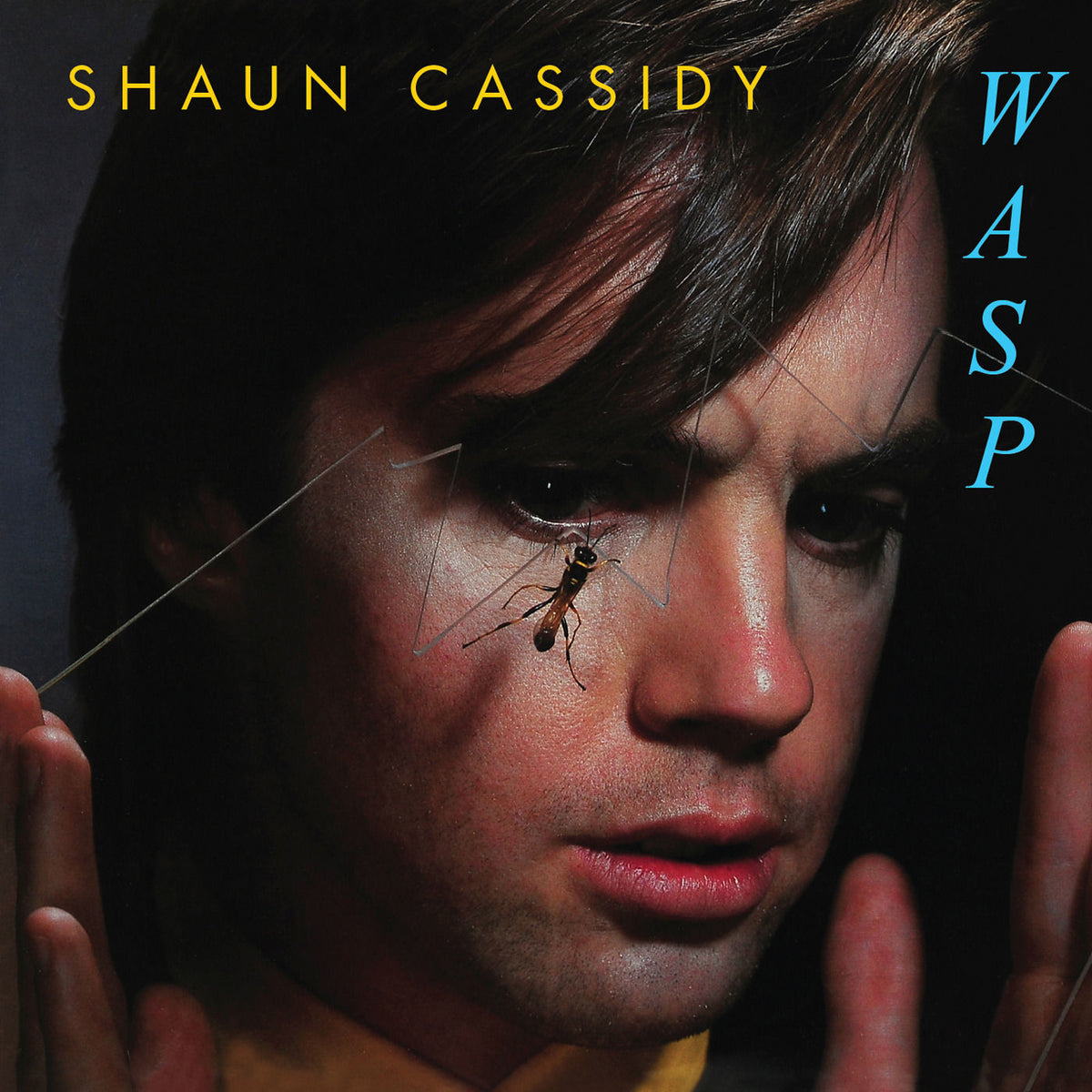 Shaun Cassidy – Wasp vinyl cover
