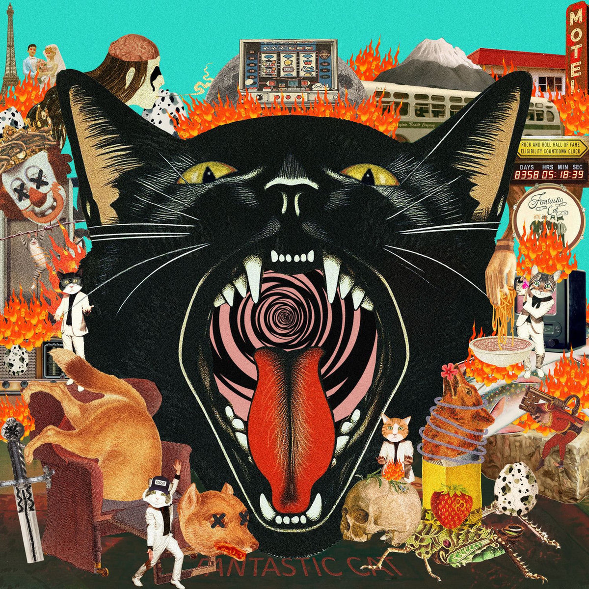 Fantastic Cat – Cat Out of Hell vinyl record cover