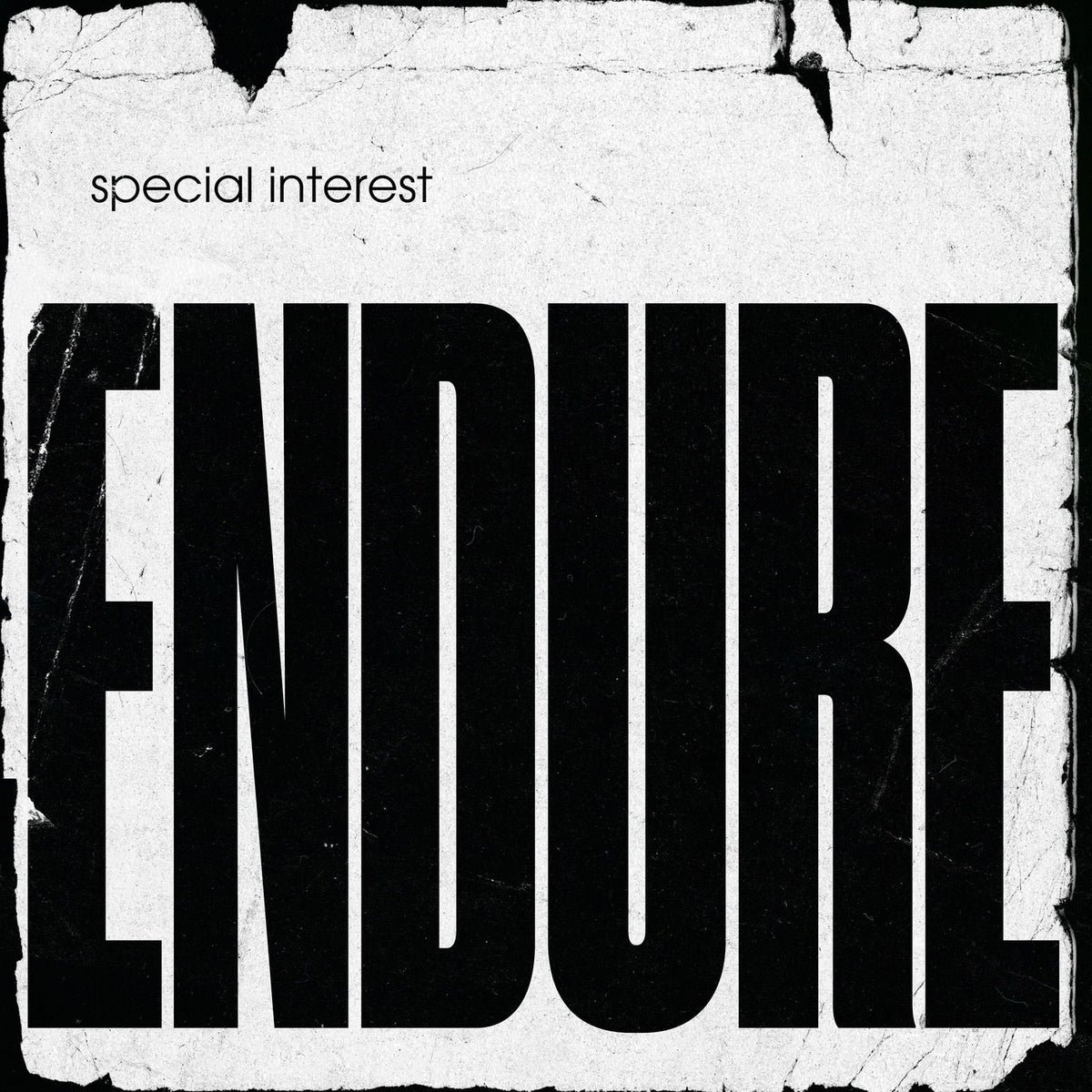 Special Interest – Endure (Coloured Vinyl) vinyl record cover