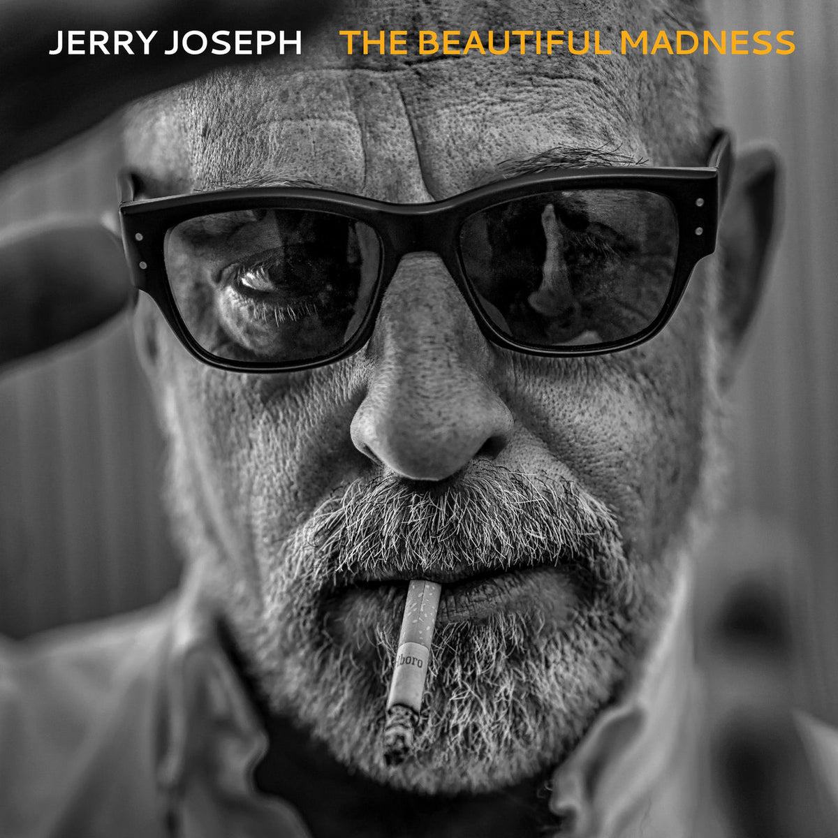 Jerry Joseph – The Beautiful Madness vinyl record cover