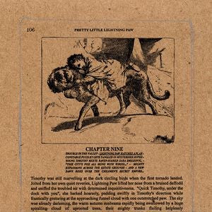 SILVER MOUNTAIN REVERIES — THEPRETTY LITTLE LIGHTNING PA — record image 1