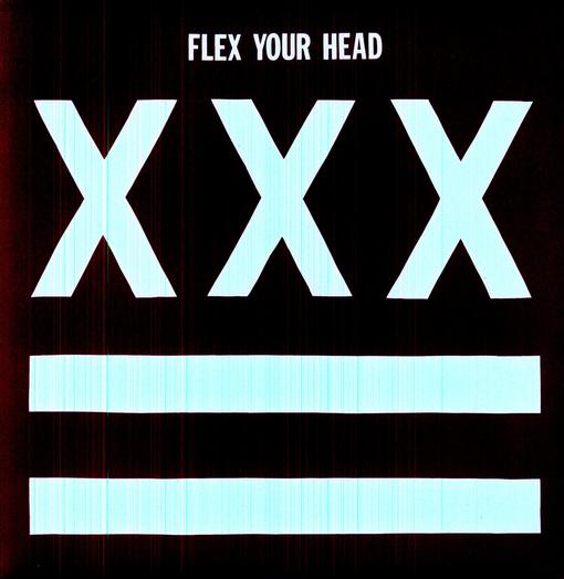 V/A INDIE ROCK — FLEX YOUR HEAD — record image 1