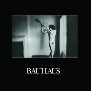 Bauhaus – In the Flat Field vinyl record cover