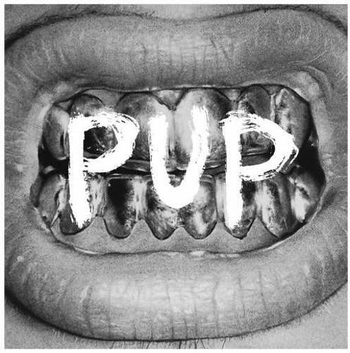 PUP — Pup