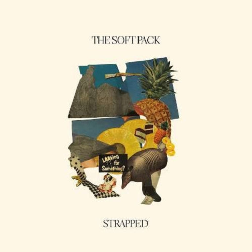 SOFT PACK — STRAPPED — record image 1