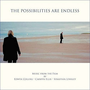 Edwyn Collins – The Possibilities Are Endless vinyl record cover