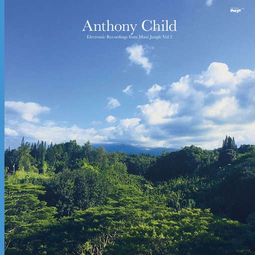 CHILD, ANTHONY — ELECTRONIC RECORDINGS FROM MAUI JUNGLE 2 — record image 1