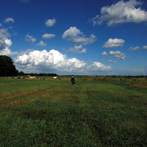 Biosphere – The Hilvarenbeek vinyl record cover