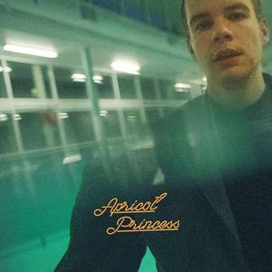 Rex Orange County – Apricot Princess vinyl record cover