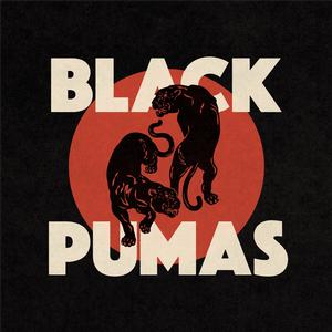 Black Pumas – Black Pumas vinyl record cover