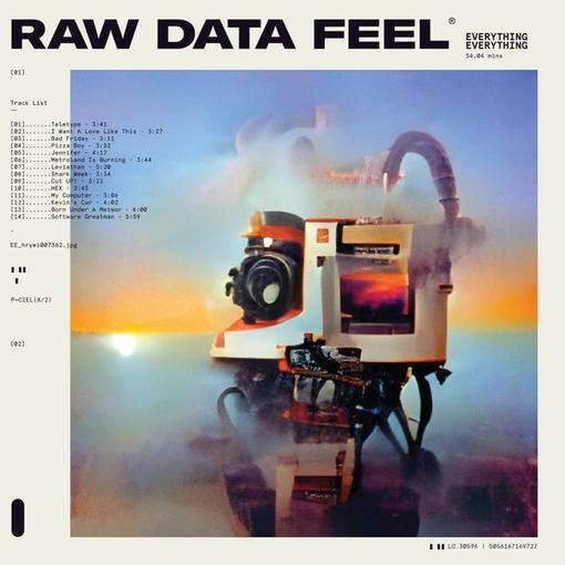 EVERYTHING EVERYTHING — RAW DATA FEEL — record image 1