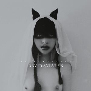 David Sylvian – Sleepwalkers vinyl record cover