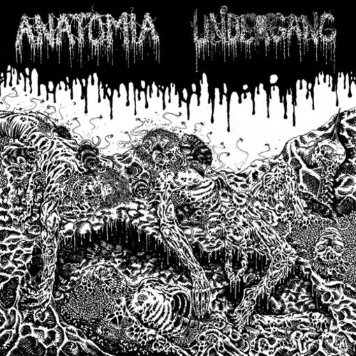 UNDERGANG / ANATOMIA — SPLIT LP — record image 1