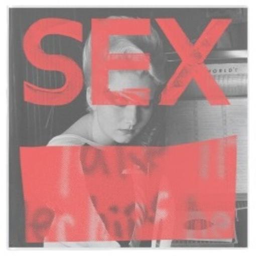 VARIOUS ARTISTS — SEX: WE ARE NOT IN THE LEAST AFRAID OF RUINS (MOHAIR BLUE COLOUR) — record image 1