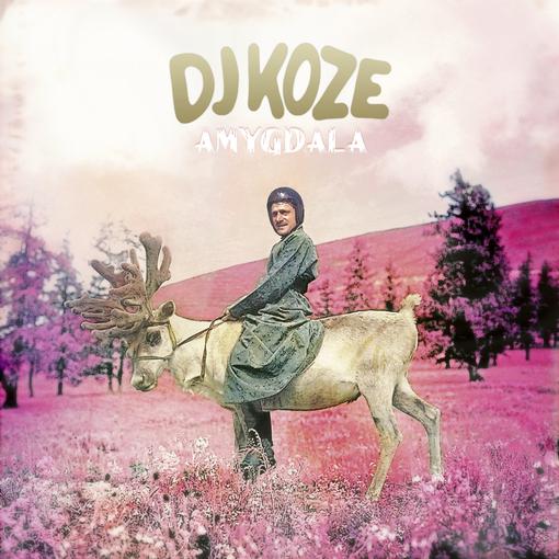 DJ KOZE — AMYGDALA — record image 1
