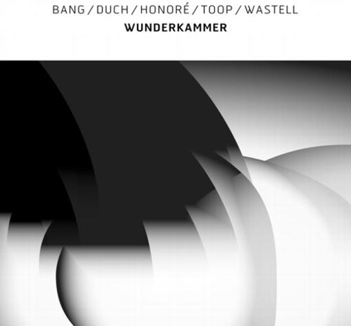 BANG / DUCH / HONORé / TOOP / WASTELL — WUNDERKAMMER — record image 1